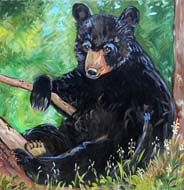 Bear in the Woods by Suzanne Etienne